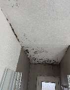 L.K-construction Schimmel und Wasserschadensanierung - GALLERY