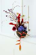 La Flor Studios - GALLERY