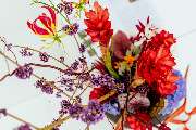 La Flor Studios - GALLERY