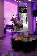 La Flor Studios - GALLERY