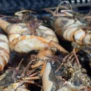 La Gondola Due - GALLERY