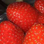 La Gondola Due - GALLERY