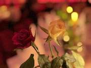 La Gondola Due - GALLERY