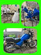 Lackdoktor Oberbayern - GALLERY