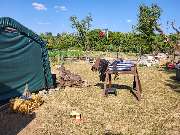 Lama-Ranch Bad Vilbel - 18