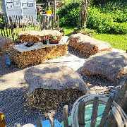 Lama-Ranch Bad Vilbel - 19