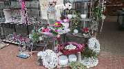 Lameyer Blumen und Pflanzen - Dekorationen, Floristik
