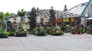 Lameyer Blumen und Pflanzen - Gartenpflanzen und Zubehör