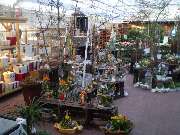 Lameyer Blumen und Pflanzen - Geschenkartikelfloristik