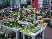 Lameyer Blumen und Pflanzen - Geschenke/Floristik