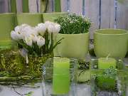 Lameyer Blumen und Pflanzen - Keramik, Floristik
