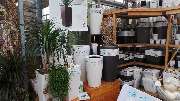 Lameyer Blumen und Pflanzen - Pflanzgefäße für drinnen und draußen