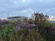 Lampertsdörfer Landschaftsbau GmbH & Co. KG - GALLERY