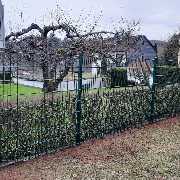 Land Raum - GALLERY