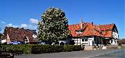 Landgasthaus Zum braunen Hirsch Christian Aue - 4