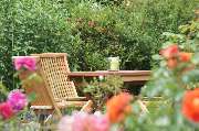 Landgasthaus Zur Linde - GALLERY