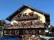 Landgasthof Drei Rosen - GALLERY