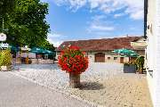 Landgasthof zum grünen Kranz - WhatsApp Bild 2023-11-10 um 12.28.39_17f3f57e.jpg