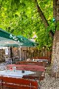 Landgasthof zum grünen Kranz - WhatsApp Bild 2023-11-10 um 12.28.49_b75d3c4e.jpg