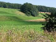 Landgasthof zur Post - Umgebung von Betenbrunn