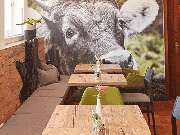 Landhaus Kuhsiel - GALLERY