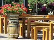 Landhaus Kuhsiel - GALLERY