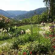 Landhaus Neckarblick - GALLERY