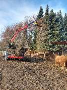 Landschaftspflege Daniel - GALLERY