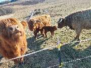 Landschaftspflege Daniel - GALLERY