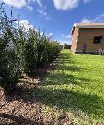 Landschaftspflege & Gartenbau Manuel Alten - 12