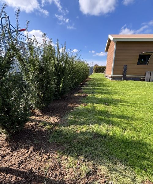 Landschaftspflege & Gartenbau Manuel Alten - 12