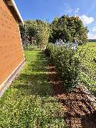 Landschaftspflege & Gartenbau Manuel Alten - 15