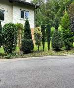 Landschaftspflege & Gartenbau Manuel Alten - 8