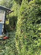 Landschaftspflege Marc Weber - GALLERY