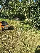 Landschaftspflege Marc Weber - GALLERY