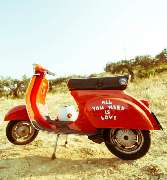 Latino Calisto - GALLERY