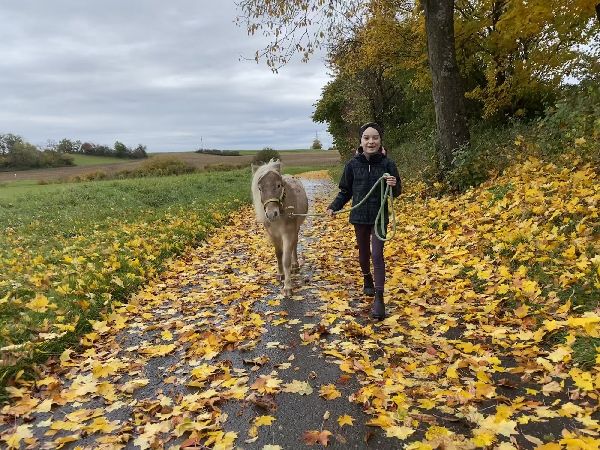 LD  Reitcoaching - GALLERY