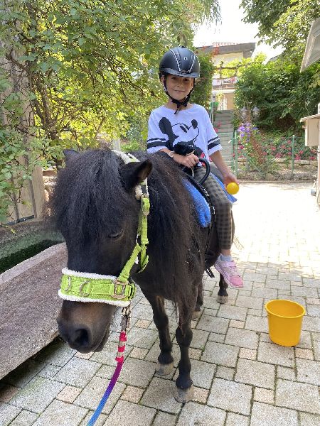 LD  Reitcoaching - GALLERY