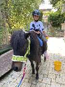 LD  Reitcoaching - GALLERY