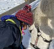 LD  Reitcoaching - GALLERY