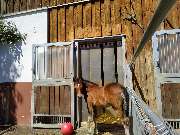 LD  Reitcoaching - GALLERY