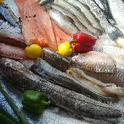 Le petit pêcheur malika - 3