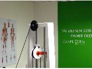 Leben ohne Rückenschmerzen - GALLERY