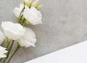 Lebenskreis Bernauer Bestattungen - GALLERY