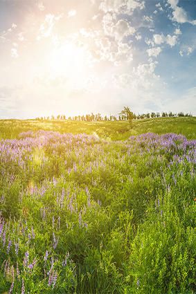 Lebenskreis Bernauer Bestattungen - GALLERY