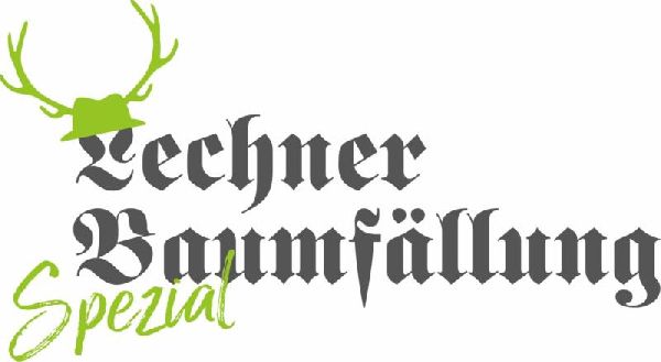Lechner Baumfällung - 1
