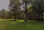 Leffers Garten- und Landschaftsbau - GALLERY