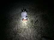 Lehrgang-zum-Brandschutzhelfer.de  Brandschutzhelfer Ausbildung mit Berufsfeuerwehrmännern - GALLERY