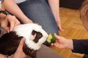 Leibniz-Kids - pme Familienservice - GALLERY