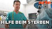 leidfrei-sterben - GALLERY